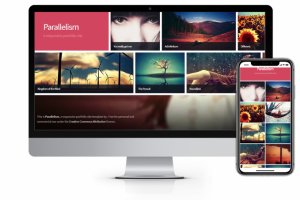 Работа 3693419