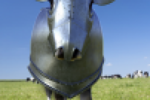 Композиция 3d графики и фото - доспехи для коровы