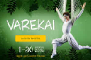 Шоу Varekai