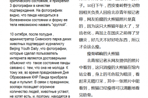 Перевод китайских новостей