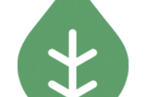 Канал The Art of Tea