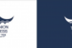 Логотип TOP UNION