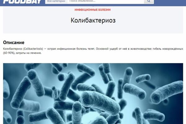 foodbay.com