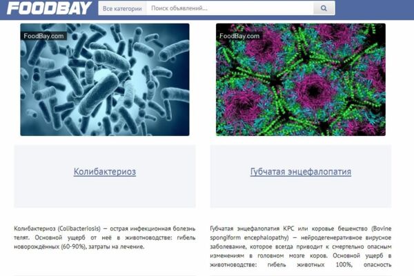foodbay.com