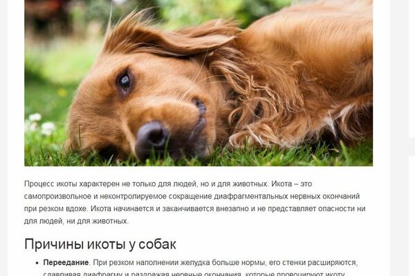 pumbik.ru