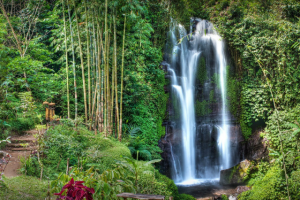 Лучшие водопады Бали: описание, фото, как добраться?