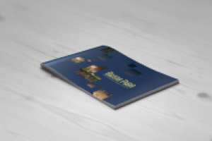 Премиум-буклет Апартаменты "Вилла Рива"