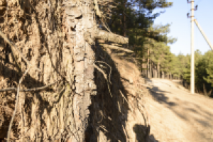 Работа 2173799