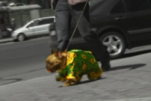 Долина солнечных цветов-2