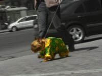 img1697312.png