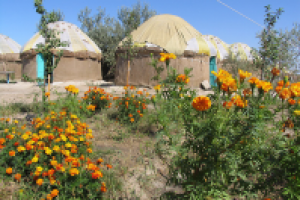 сюжет про этнопоселение