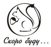 img2958339.png