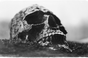 Работа 3584152