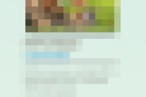 Фан сайт Big Buck Bunny(мобильная версия)