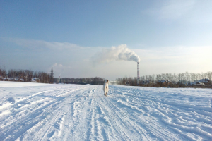 Работа 3372494