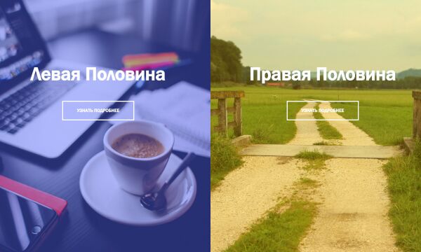 img3381284.png