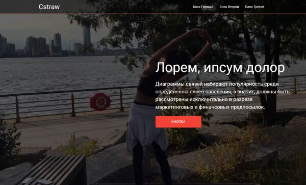 img3381290.png