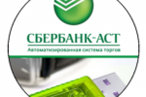 Промо-статья для курсов по участию в электронных торгах