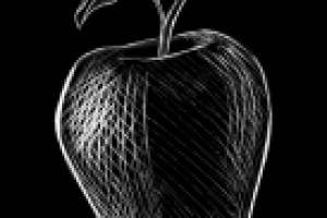 Работа 3089960