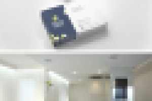 Фирменный стиль «РосРегионРазвитие»