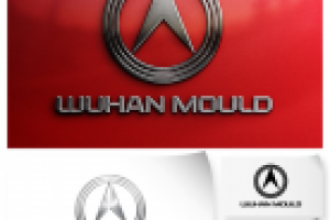 Логотип «WUHAN MOULD»