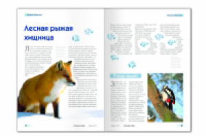 Разворот журнала "Лосиный остров"