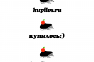 Интернет магазин
