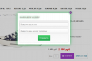 Разработка и интеграция скрипта "Покупка в 1 клик"