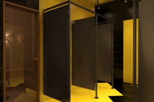 Проект 056 Фитнес клуб Элис