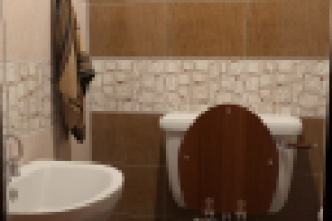 Санузел (дизайн проект квартиры-студии, стиль Кантри).