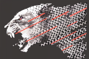 Принт для печати на одежде