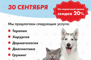 Листовка для ветклиники