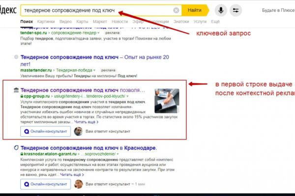 img3655569.png