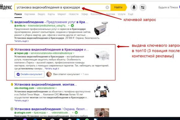 img3655581.png