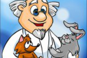 Поздравления на заказ