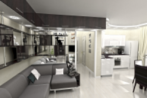 Кухня-холл вариант2