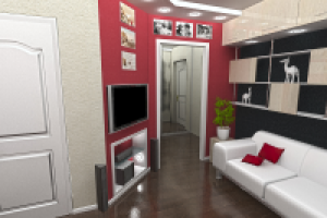 Кухня-холл вариант1