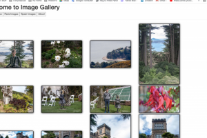 WEB сайт на базе технологии Angular7