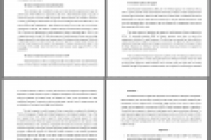 THE ROLE OF SMALL ENTERPRISE IN A MODERN STATE