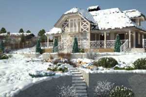 Снежная зима