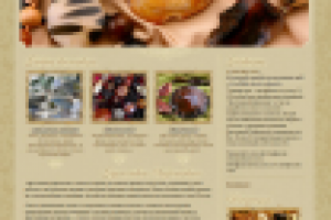 Сайт производителя женских украшений "Ярославна Добрянская"