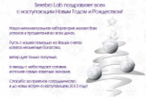 Новогоднее поздравление Serebro Lab 2013