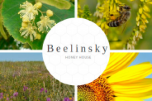 Тексты на английском для сайта компании Beelinsky