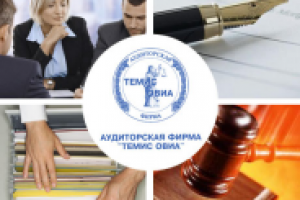 Тексты для аудиторской компании "Темис-Овиа"