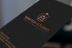 Логотип для "Winter-Studio"