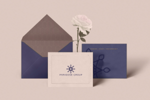 Фирменный стиль для PARADISE GROUP