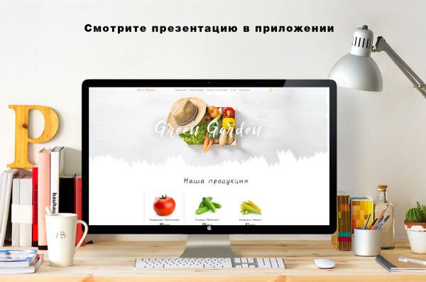 img3242671.png