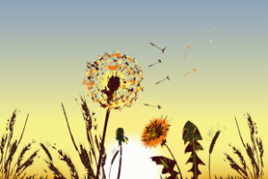 Спокойствие