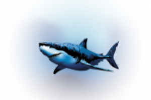 наклейка на авто