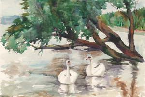 Лебеди. Виштынец.